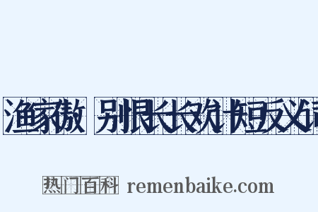 渔家傲·别恨长长欢计短反义词是什么意思的图片
